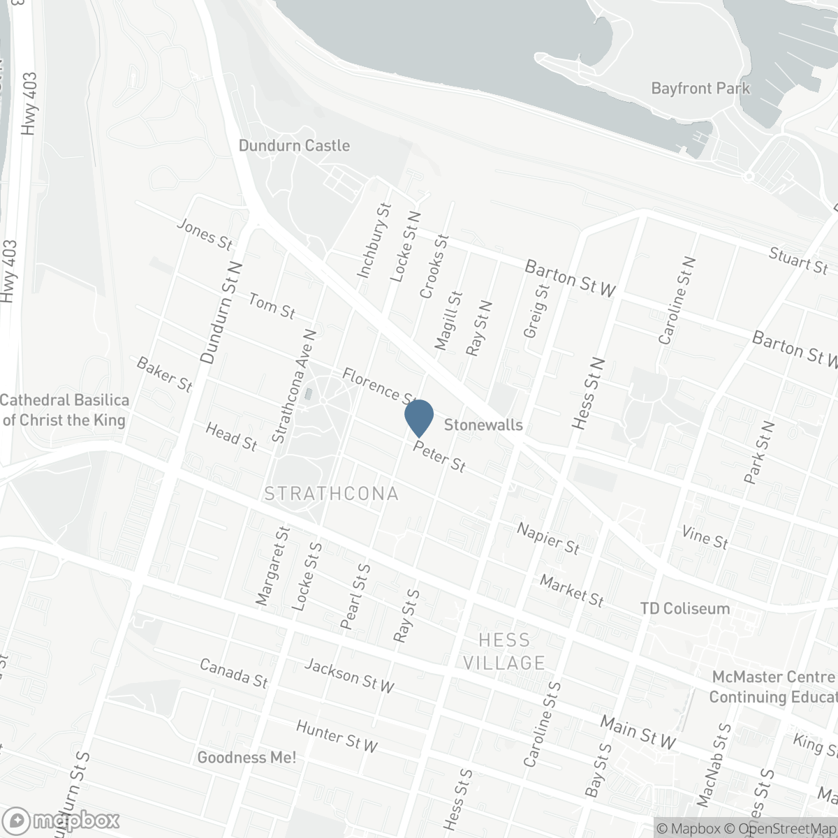 102 PEARL Street N, Hamilton, Ontario L8R 2Z3